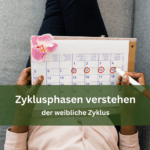 Zyklusphasen verstehen: Der weibliche Zyklus im Detail 9